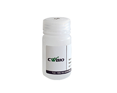 RNAø