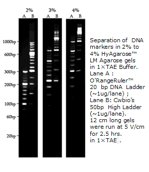 HyAgarose™ ۵֬